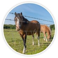 Ranch Fence — Horse Farm Fence in Bakersfield, CA