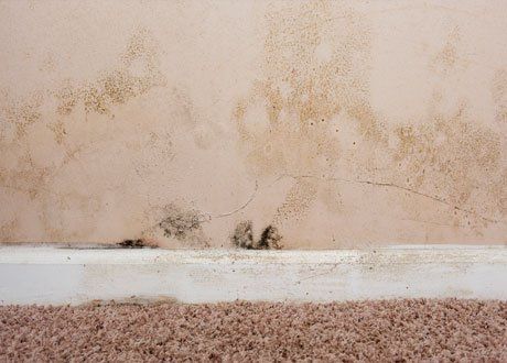 damp protection