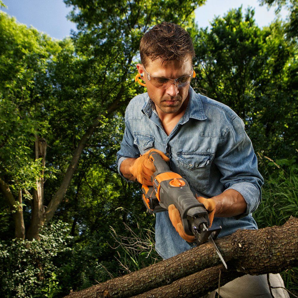 Man Trimming Branches — Dedham, MA — Royer Tree Service Inc Man Trimming Branches — Dedham, MA — Royer Tree Service Inc
