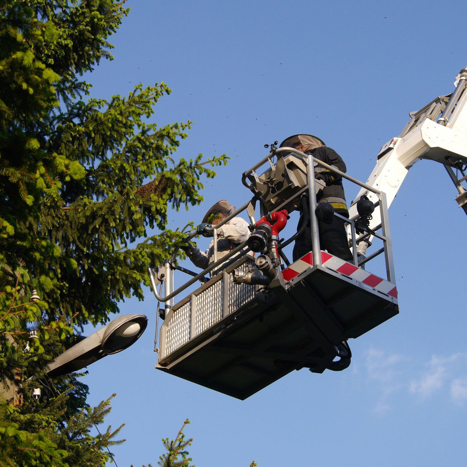 Residential Tree Services — Dedham, MA — Royer Tree Service Inc Residential Tree Services — Dedham, MA — Royer Tree Service Inc