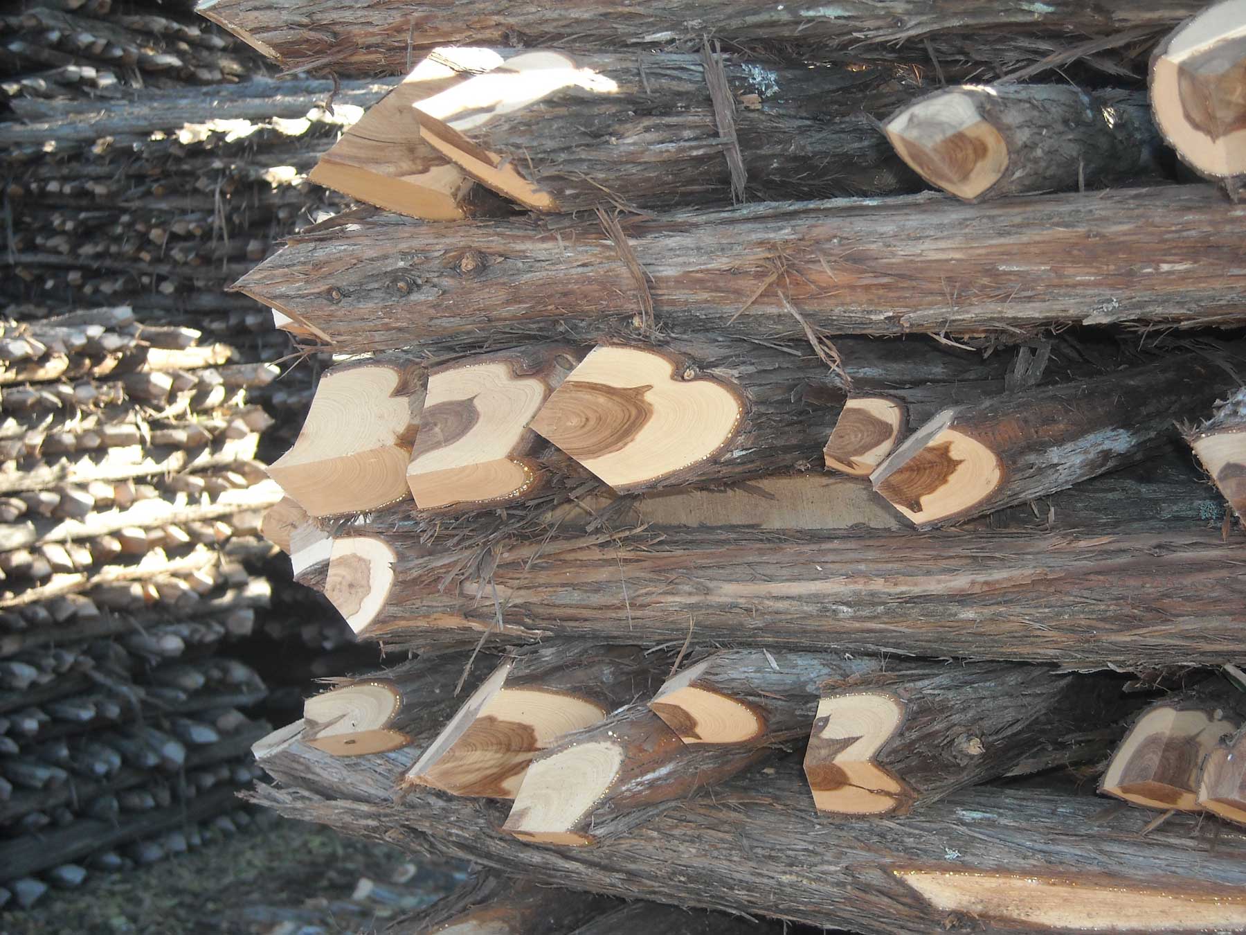 that cedar heart,it just don't give up