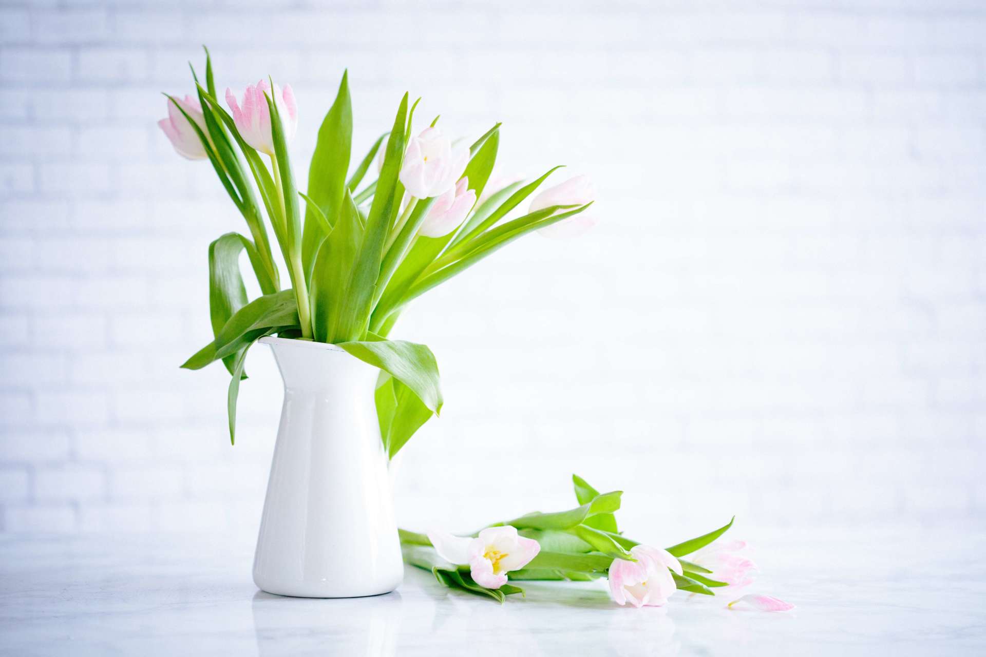 benefits of cremation flowers