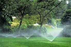 image-76879-rainbird.jpeg.jpg?1411504221148