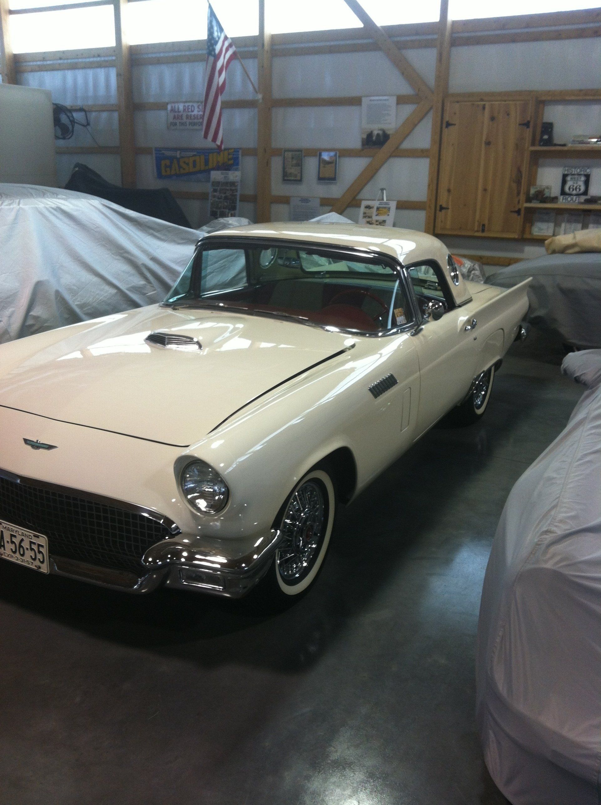 TW Scott Collection