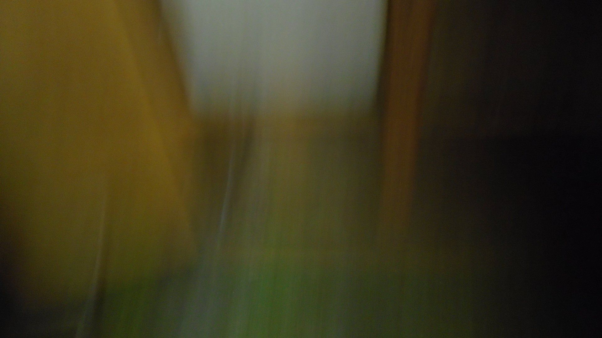 Blurred image with yellow, white, green, and black areas.