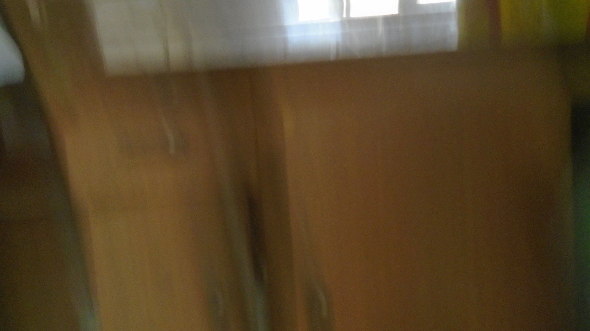 Blurred interior view of wood-paneled walls and a window at the top.