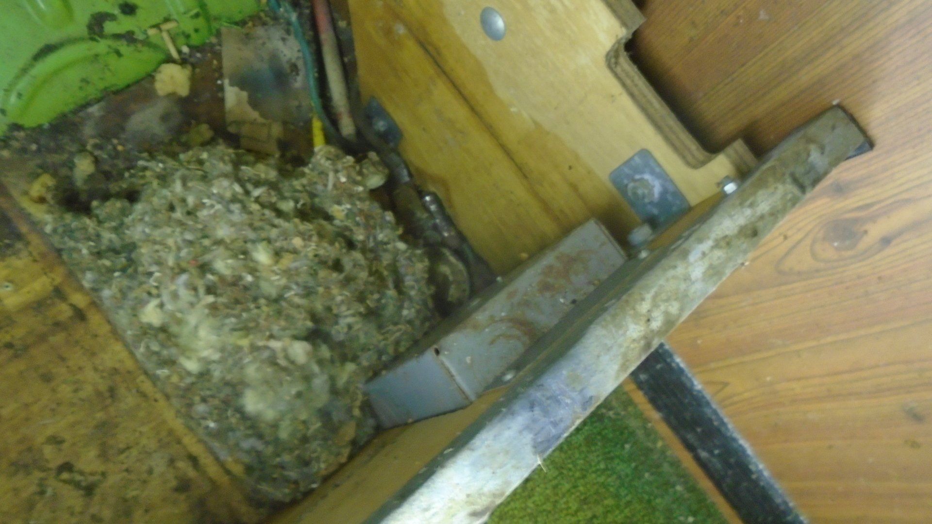 Debris buildup in a wooden compartment, showing a mass of greyish, organic material.
