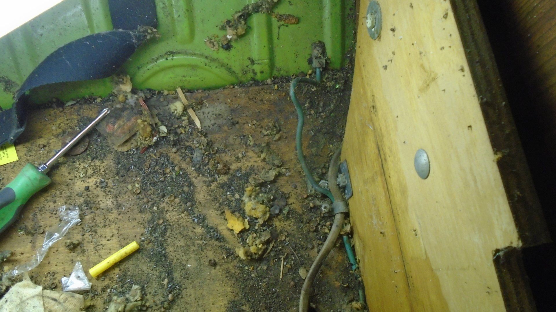 Interior of a vehicle, showing corroded floor, electrical wires, and wooden paneling. Green, brown, and yellow colors.