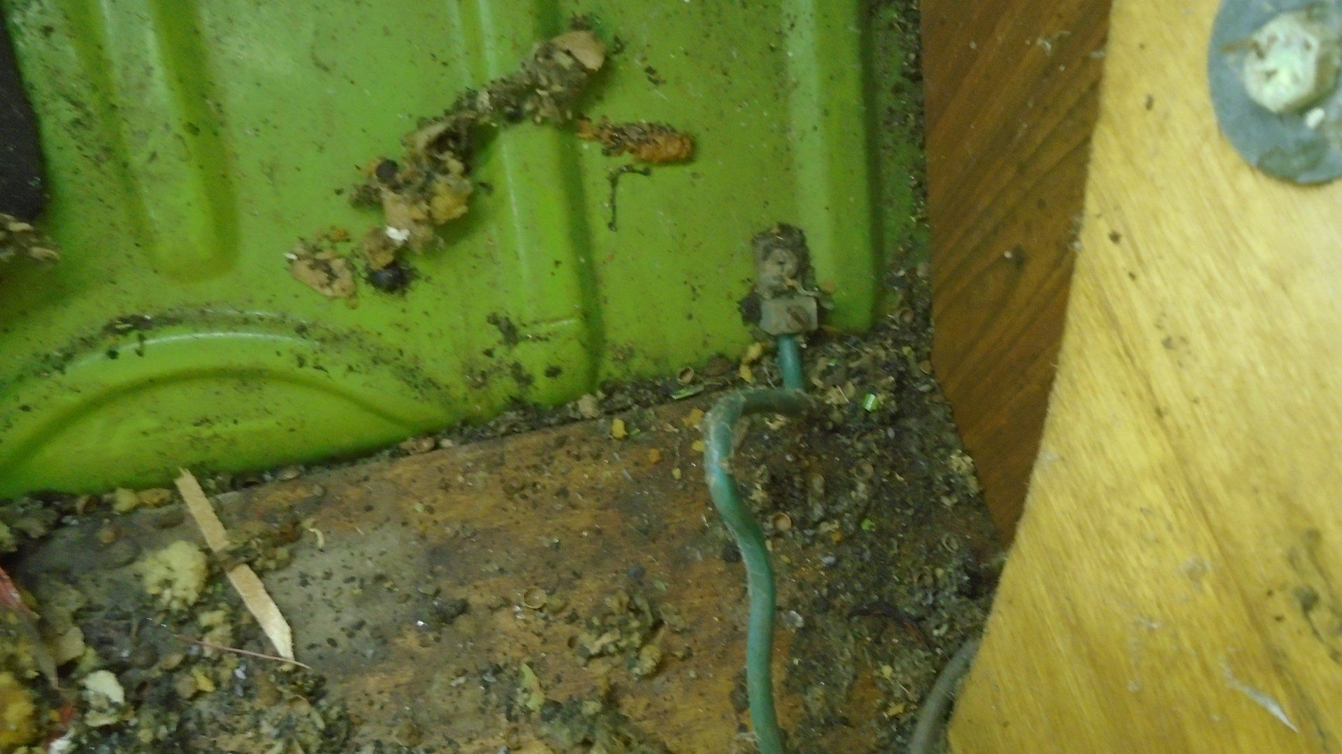 Green wire connected to a metal component, resting on dirty, green plastic and wood.