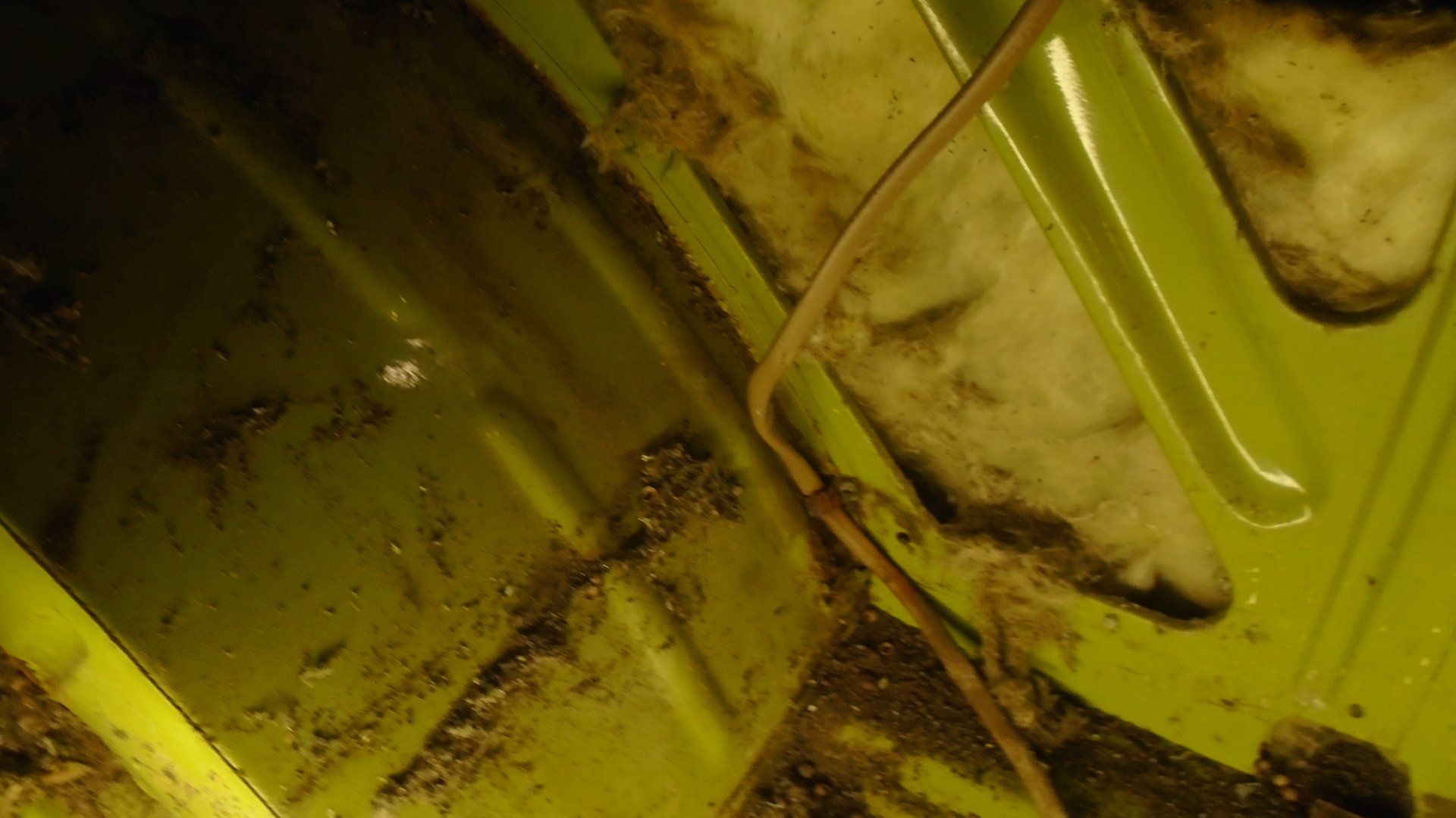 Close-up of dirty, light green plastic panels with a thin, brown wire and dark debris.