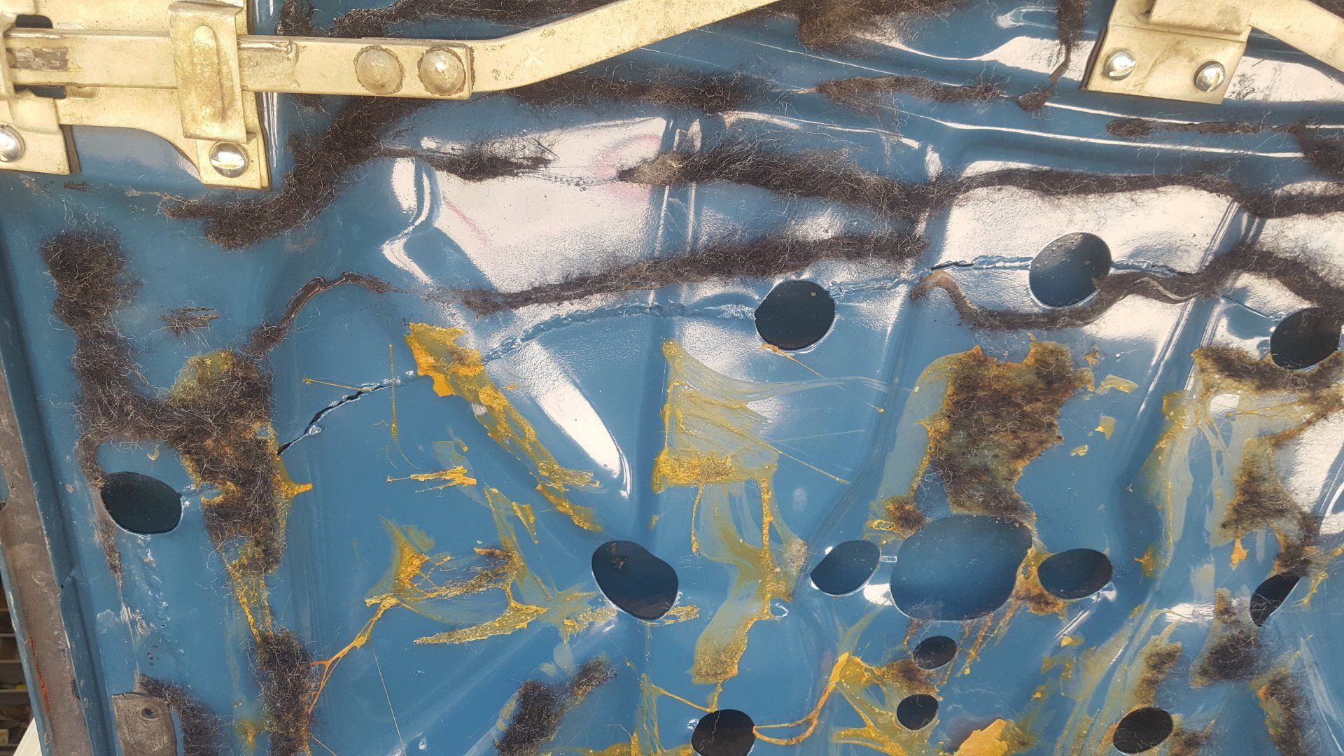 Blue car hood interior with rust and holes.