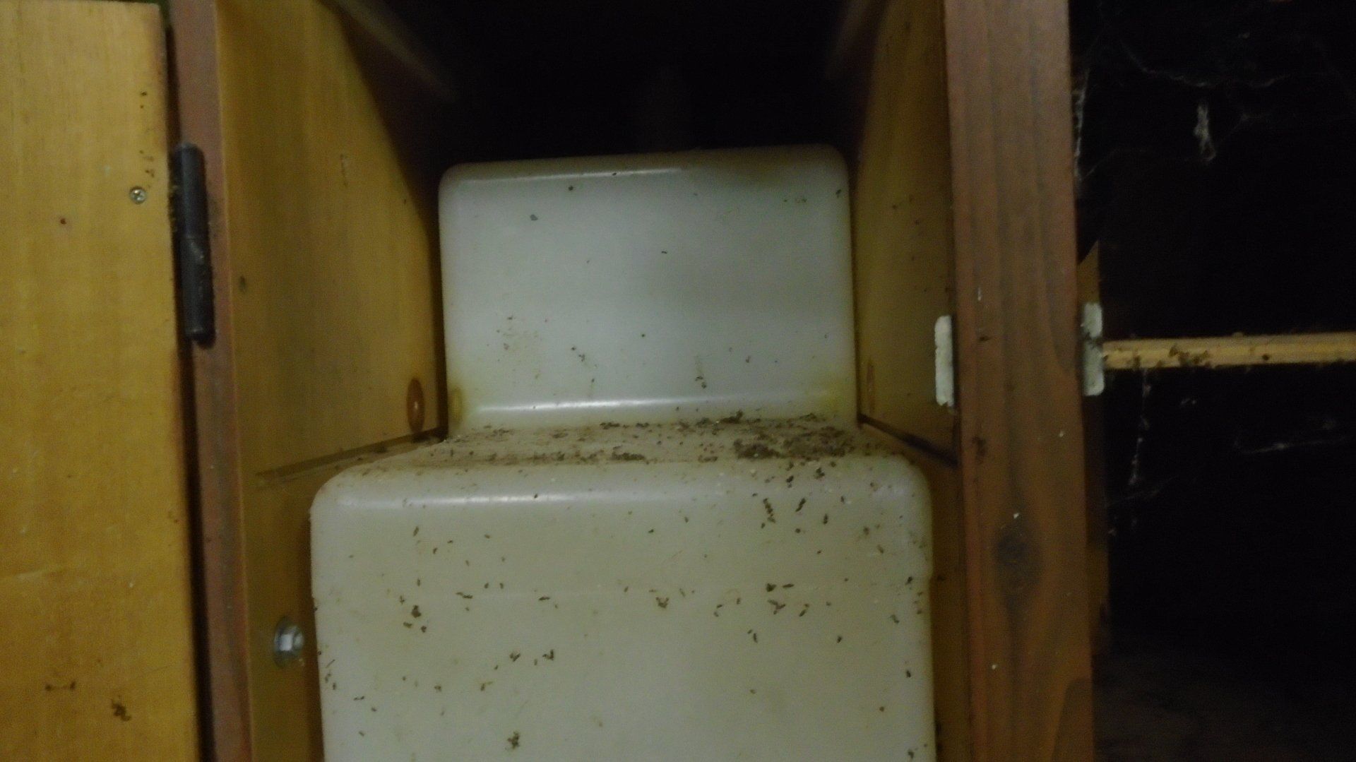 White plastic container inside a wooden cabinet, with debris on top.