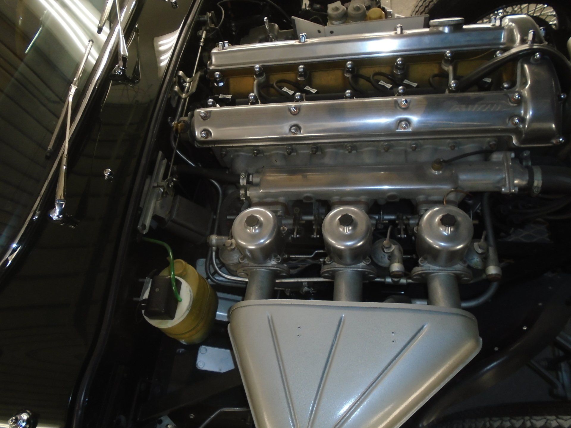 Jaguar engine in black engine bay, with polished aluminum components and three carburetors.
