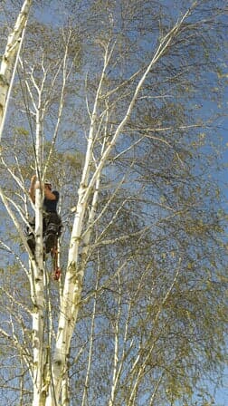 man and dog Clay's Tree Services Inc Portland, OR