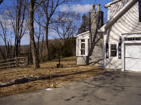 Area before landscaping service in Bethlehem, CT