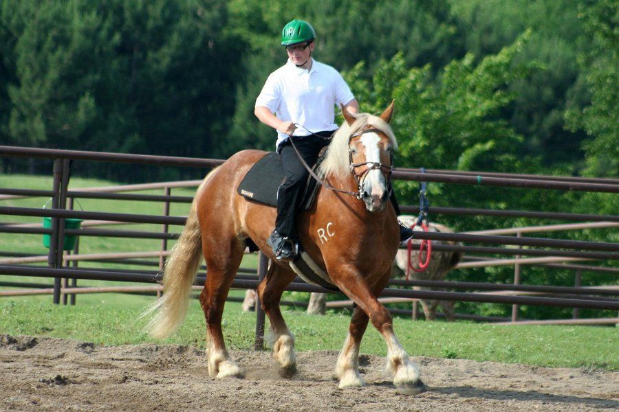 Boy riding horse by himself