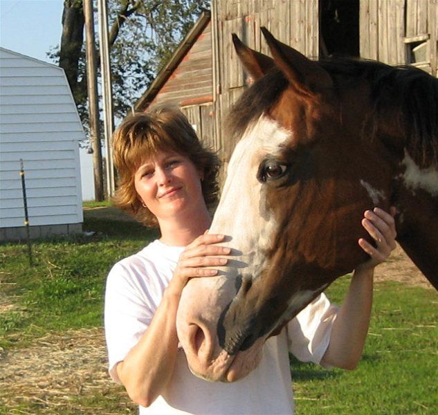 Worker petting a horse's face