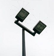 Humane bird deterrents Humane bird deterrents