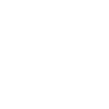 domestic settings icon 