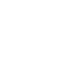 fencing icon 
