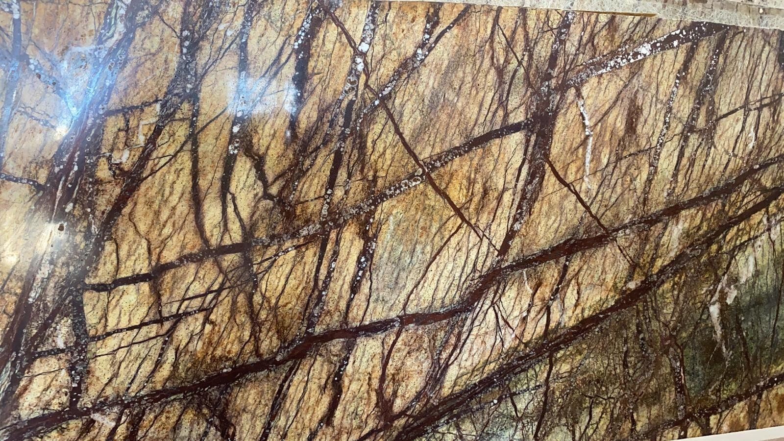 Lastra levigata di pietra color marrone dorato, caratterizzata da intricate venature marrone scuro simili a una ragnatela.