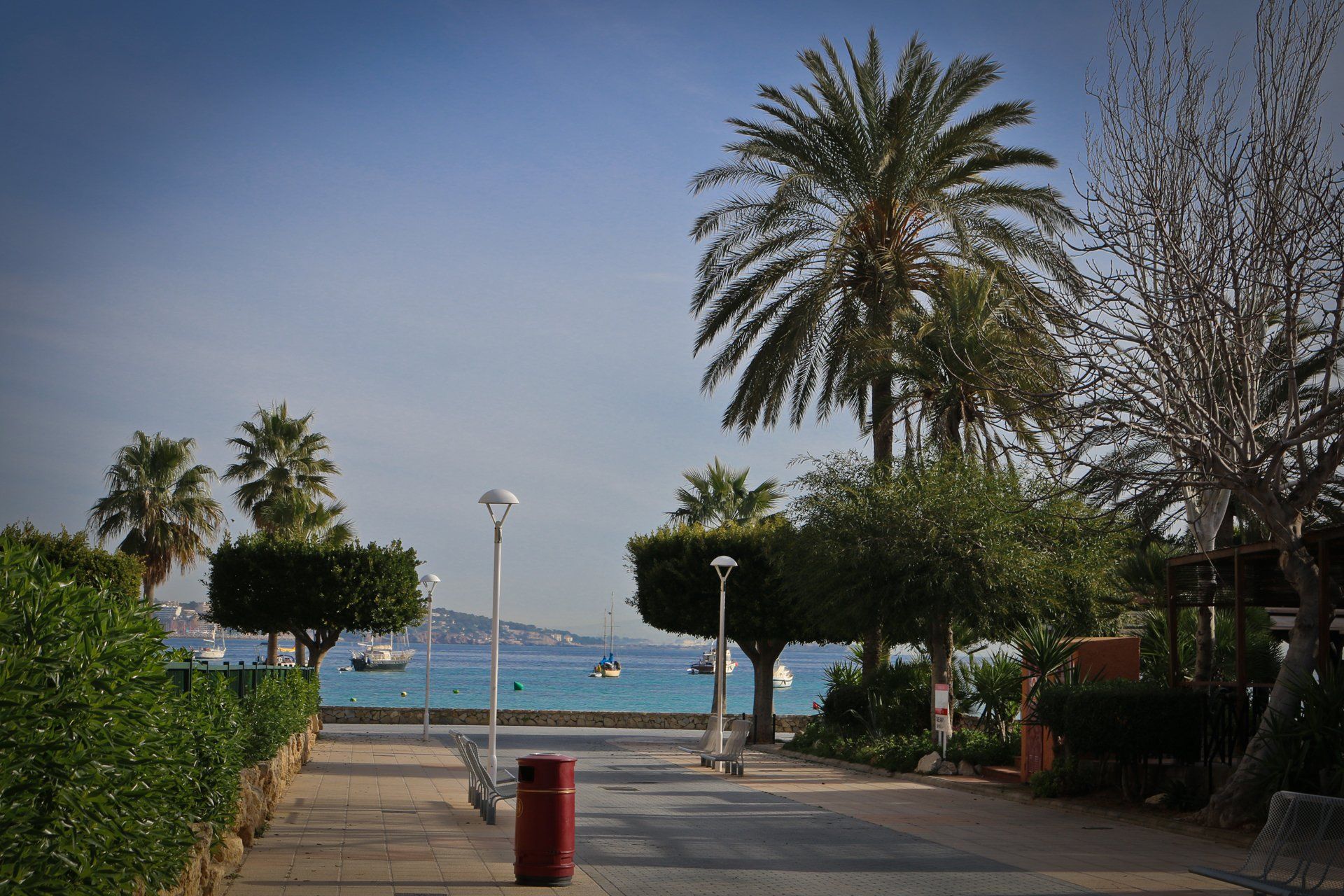 Magaluf Mallorca Majorca Beach Playa