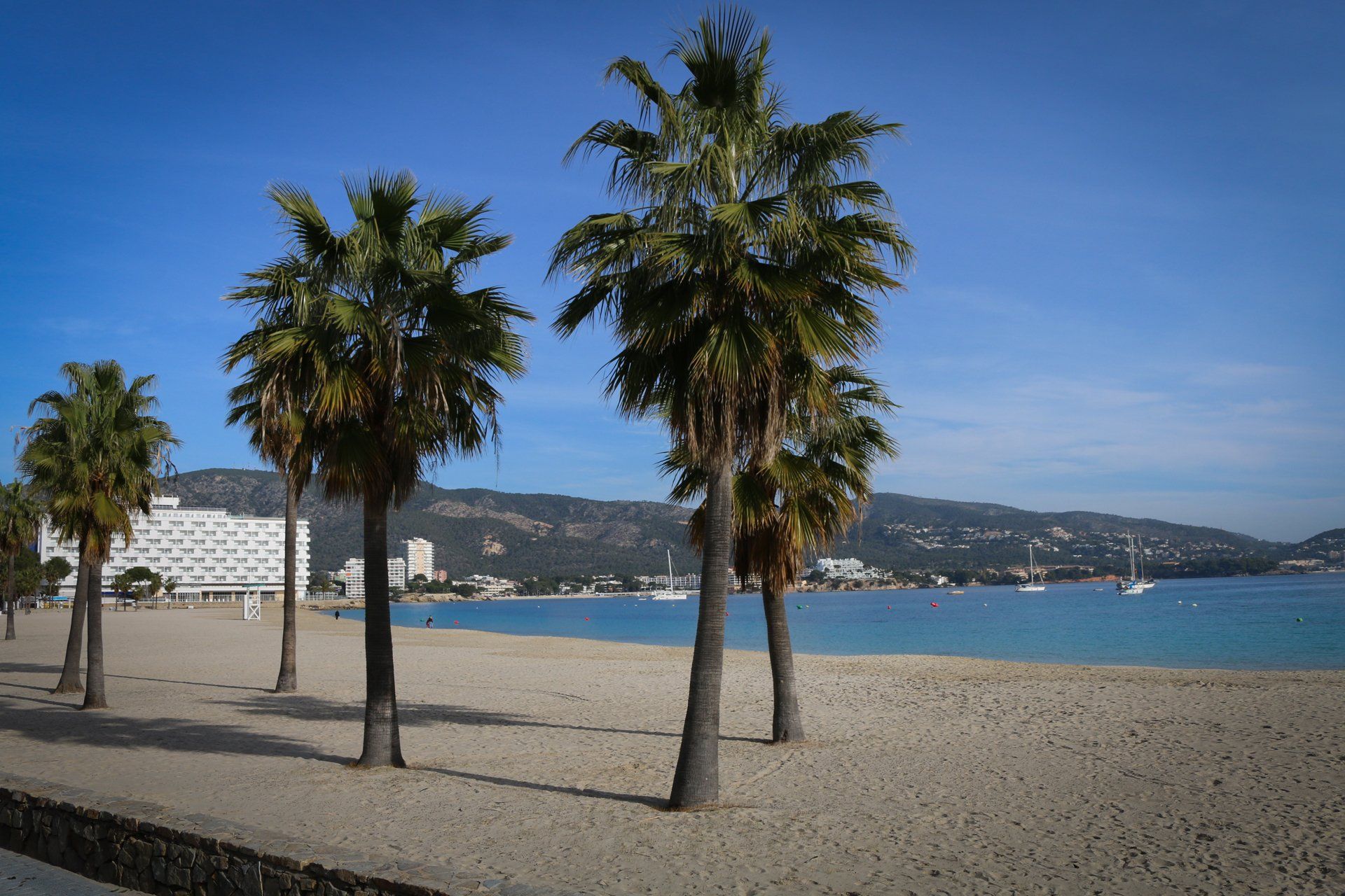 Magaluf Mallorca Majorca Beach Playa