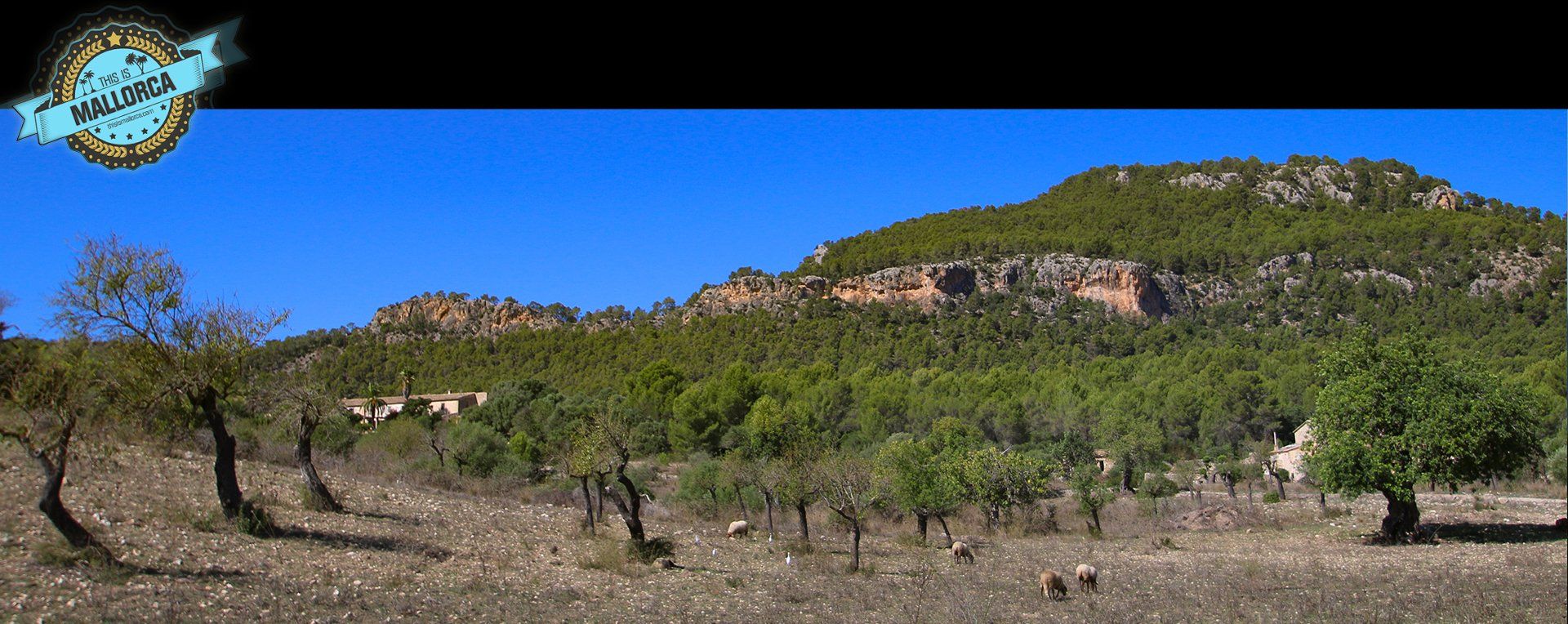 Es Capdella, Mallorca, Majorca