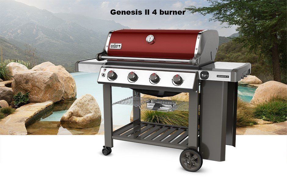 WEBER 1