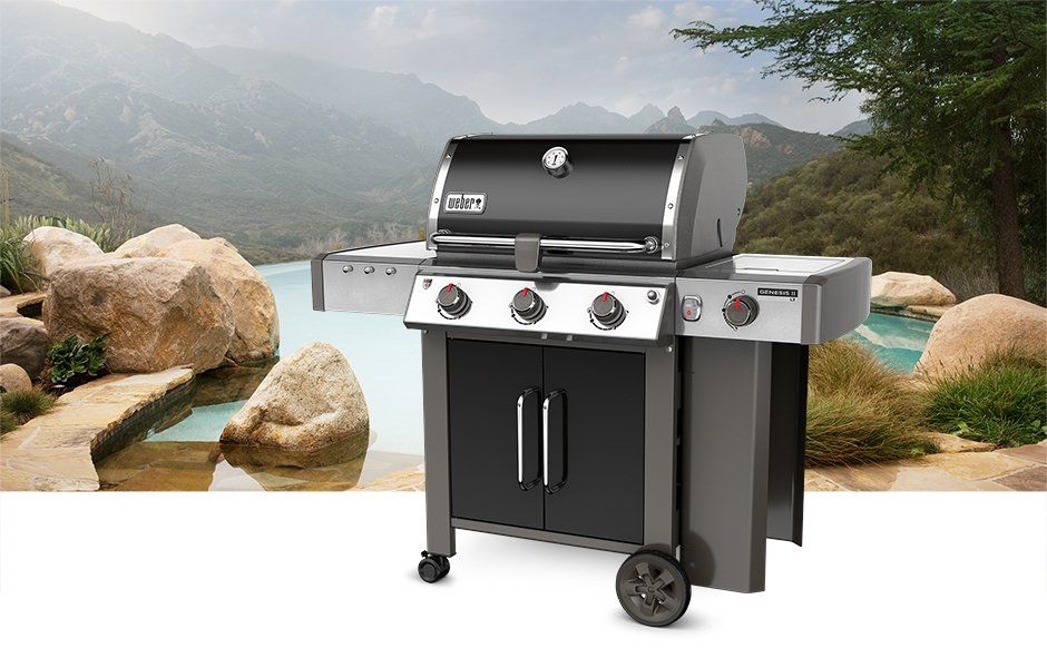 WEBER 7