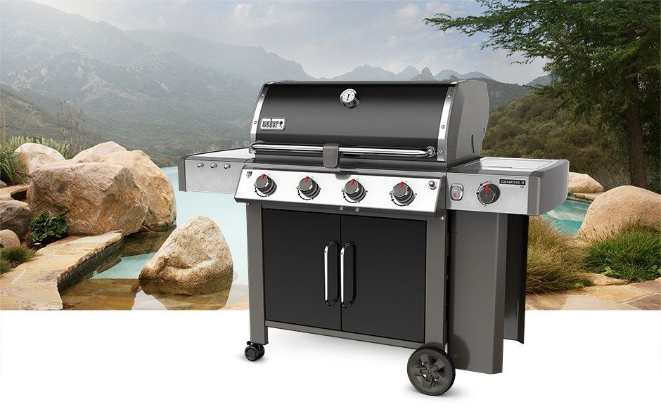 WEBER 9