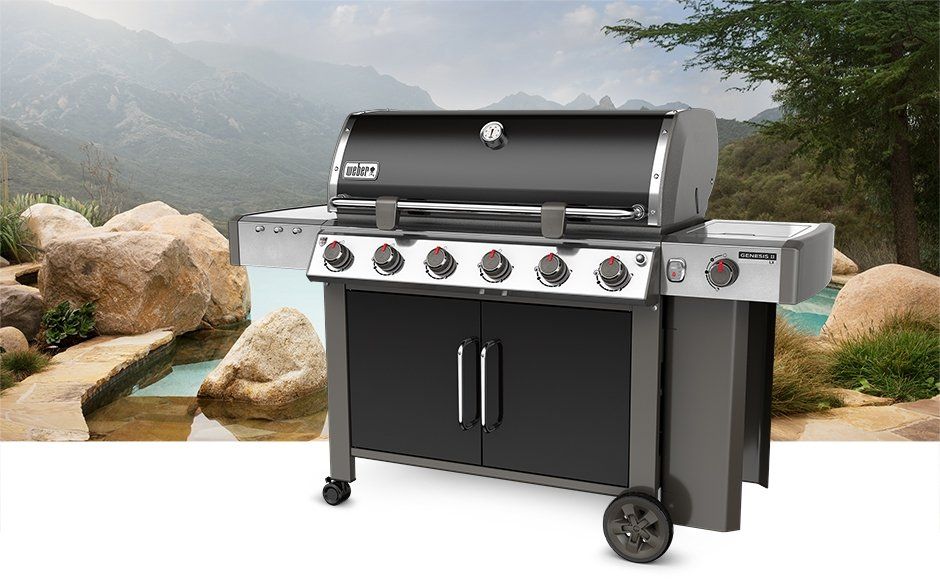 WEBER 10