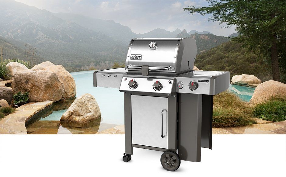 WEBER 12