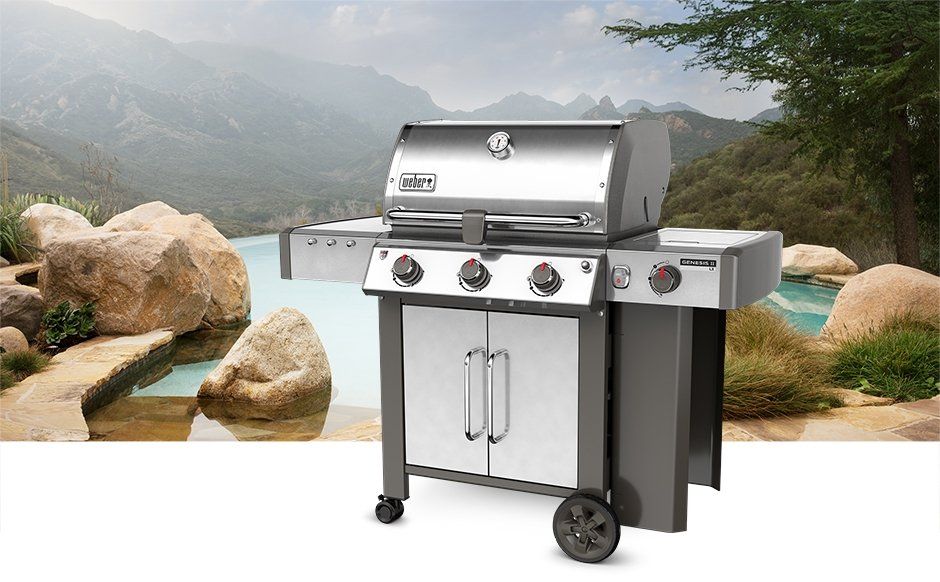 WEBER 11