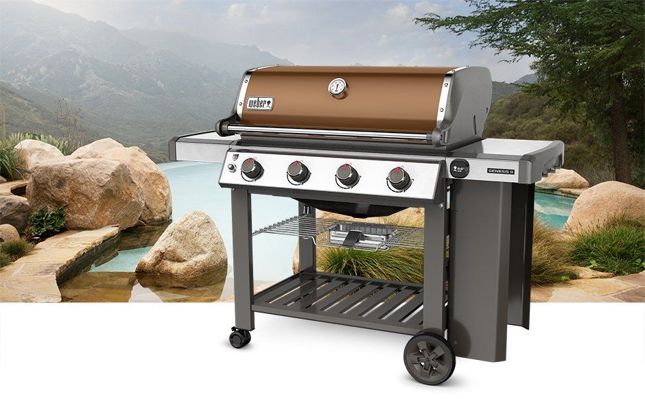 WEBER 3