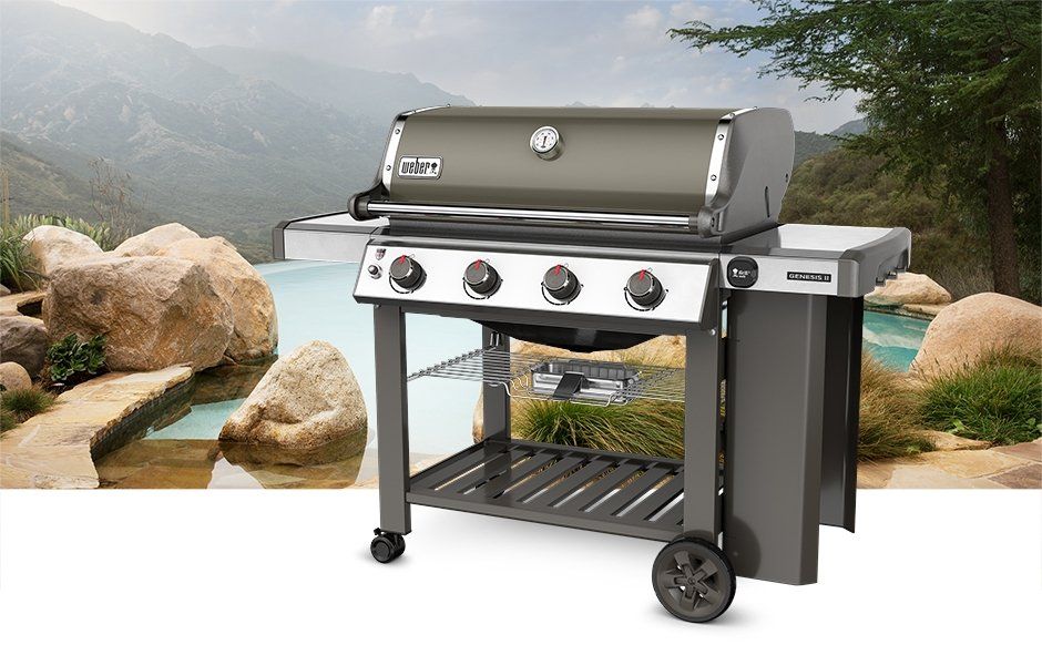 WEBER 5