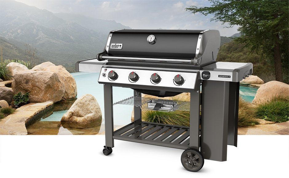 WEBER 6