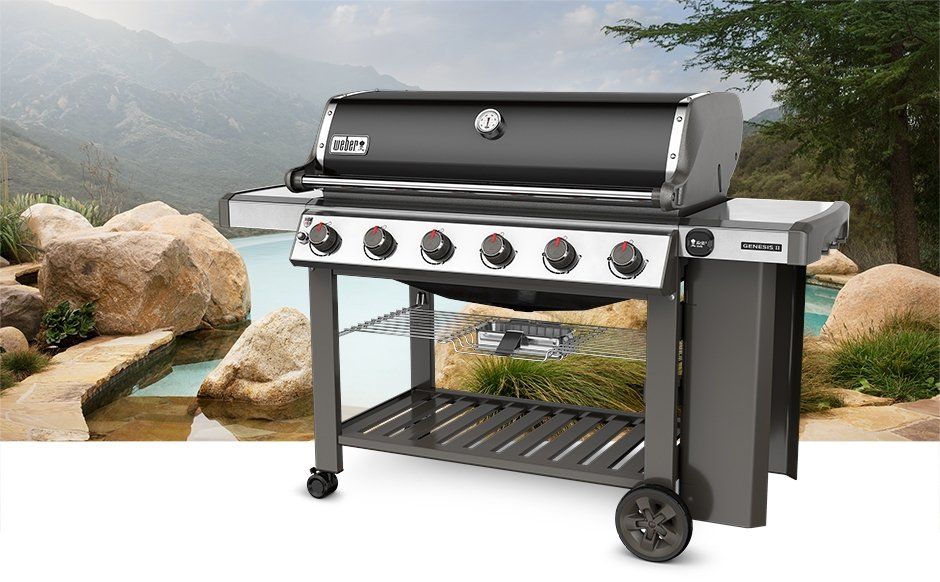 WEBER 8