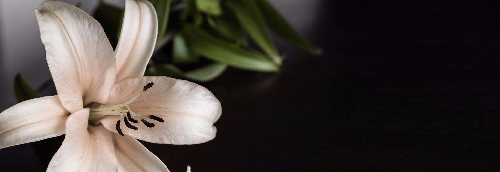 fiore