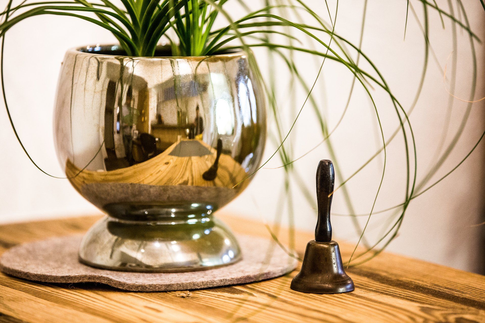 Una pianta in vaso è appoggiata su un tavolo di legno accanto a una campana.