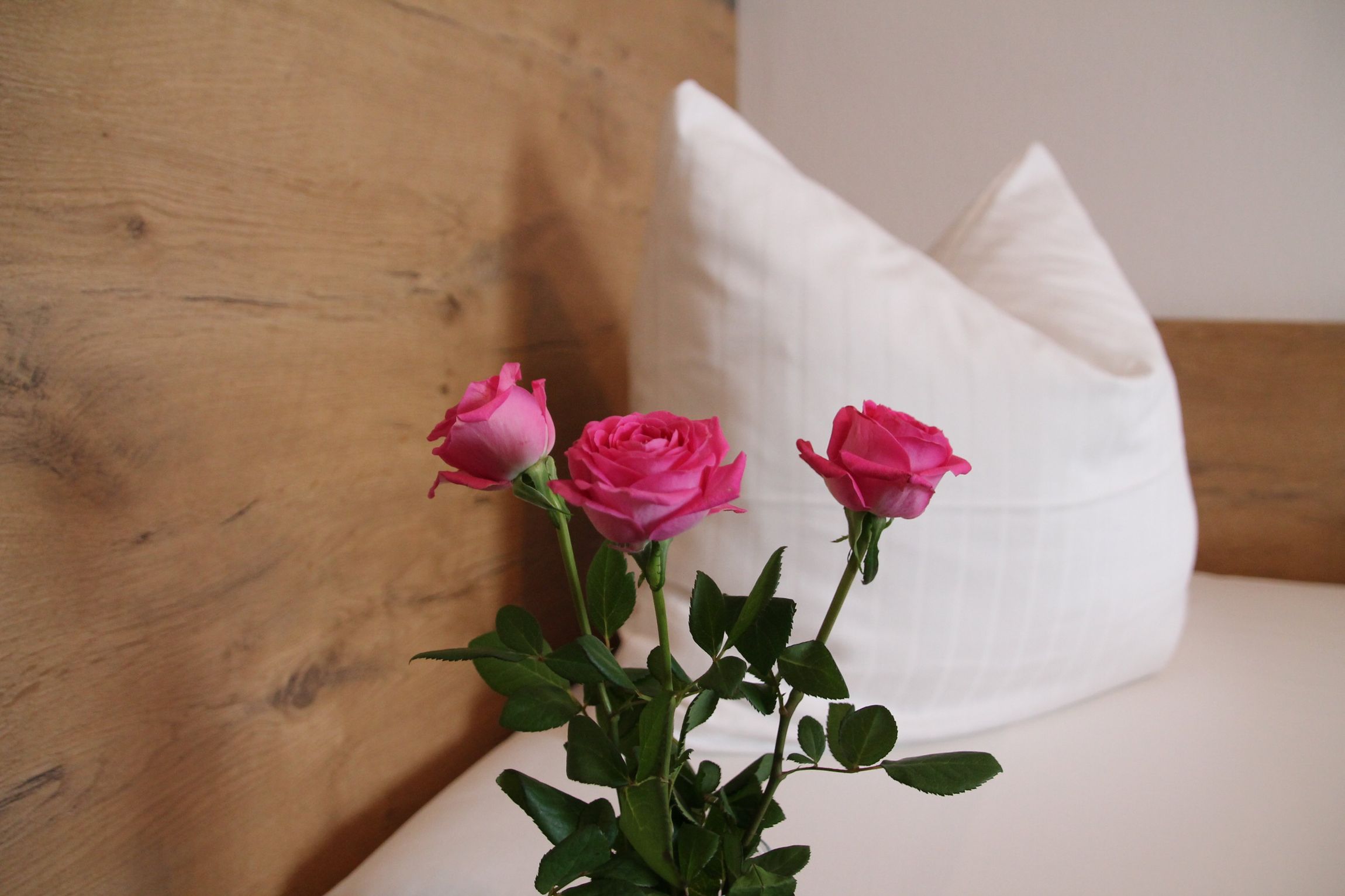 Eine Vase mit rosa Rosen steht auf einem Bett neben einem weißen Kissen