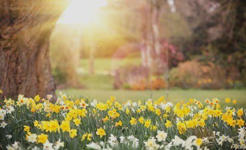 Mindfulness and Meditation
