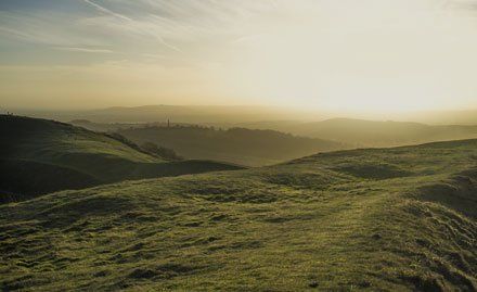 Shamanic experience