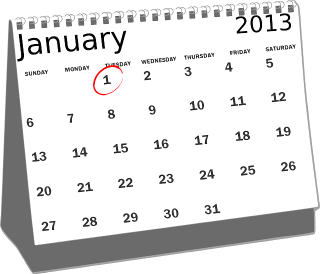 Calendar for January 2013, the 1st circled in red.