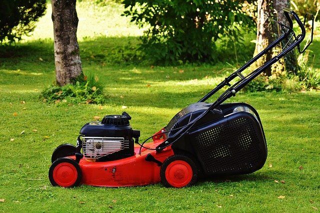 Red lawnmower on green grass with trees in the background.