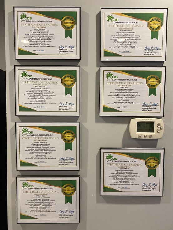 Specialist Training Certificate
