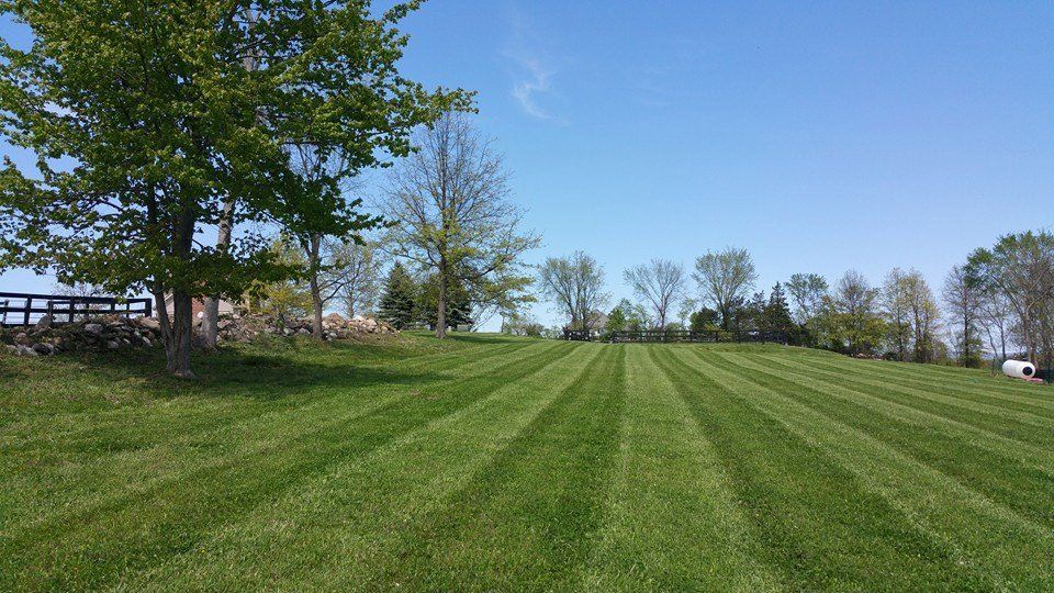 Lawn — Pine Bush, NY — Creative Touch Landscaping & Home Improvement Inc.