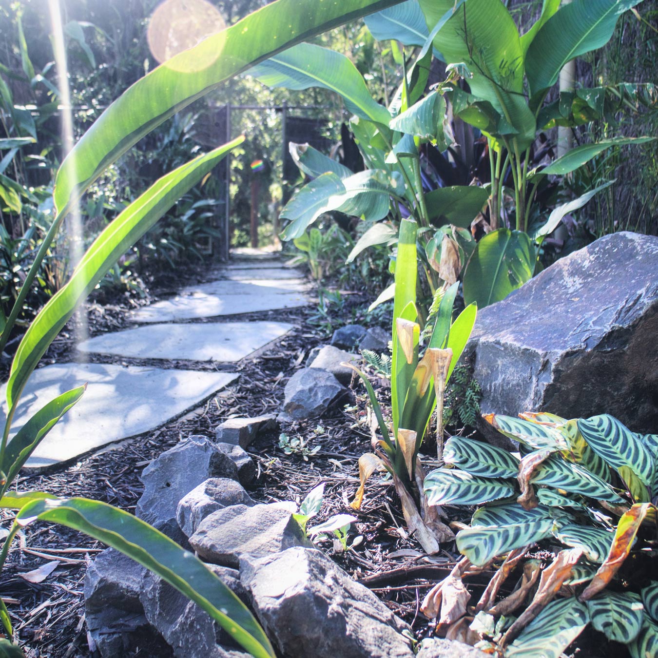 garden