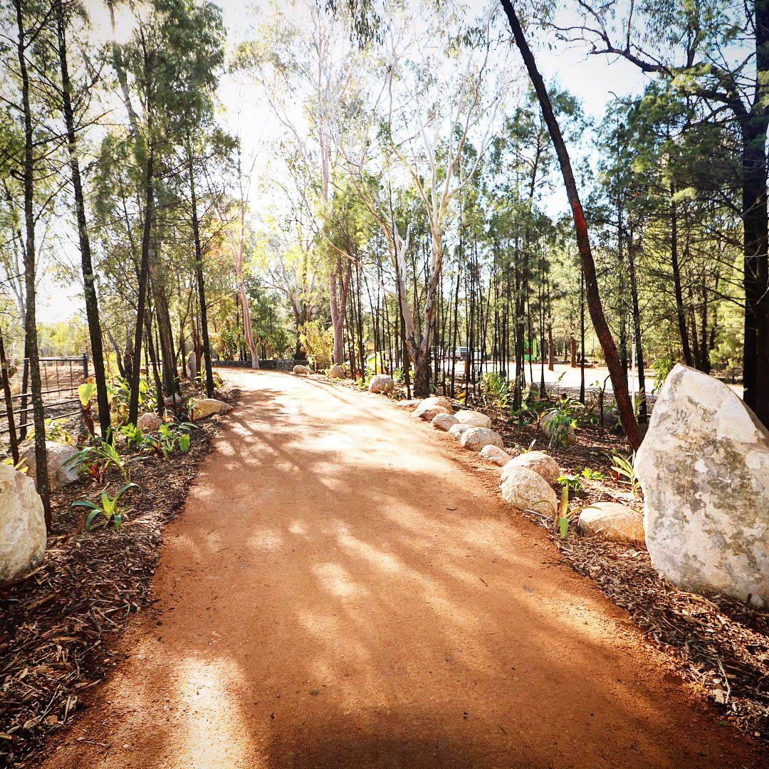 dirt path
