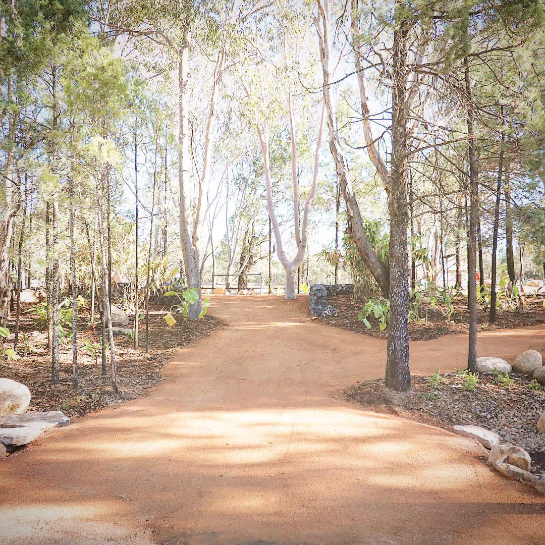 dirt path